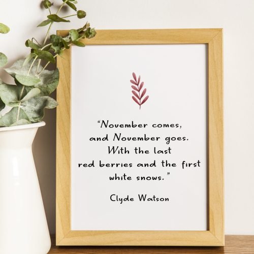 November Quotes